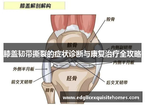 膝盖韧带撕裂的症状诊断与康复治疗全攻略